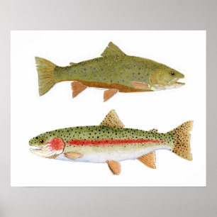 Lokale Favoriten - Bows & Brookies Poster
