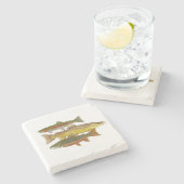 Lokale Schönheits-Forelle Steinuntersetzer (Seitenansicht)