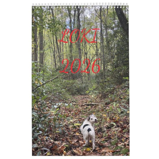 loki 2026 kalender (Titelbild)