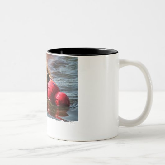 Loki "ICH GOT DIESES " Zweifarbige Tasse (Rechts)