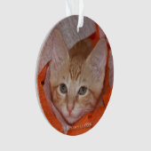 Loki in Orange u. in weißem Ornament (Vorderseite)