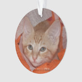 Loki in Orange u. in weißem Ornament (Vorderseite)