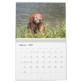 Loki Kalender (Feb 2027)