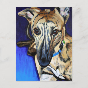 Loki - Lurcherhund Postkarte