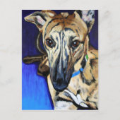 Loki - Lurcherhund Postkarte (Vorderseite)