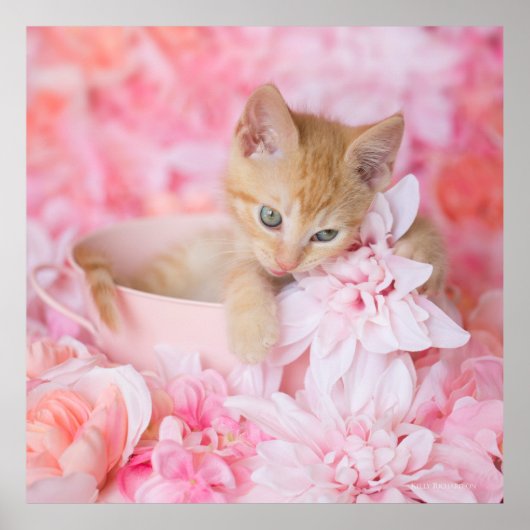 Loki Pink Floral Poster (Vorne)