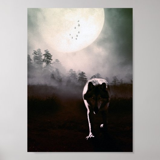 loki wolfdog 2 poster (Vorne)