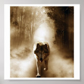 Loki Wolfdog Poster (Vorne)