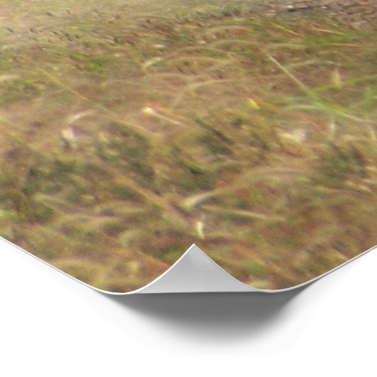 Lokomotiven im Nebengleis Poster (Ecke)