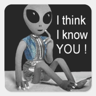 LOL - Auf adressierte Post oder neben einem Bild - Quadratischer Aufkleber