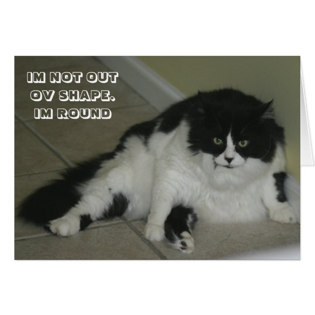 LOL Cat Card (Vorderseite (Horizontal))