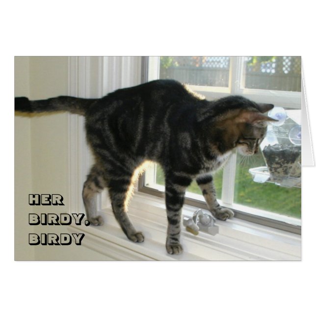 LOL Cat Card (Vorderseite (Horizontal))