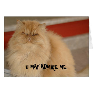 LOL Cat Card