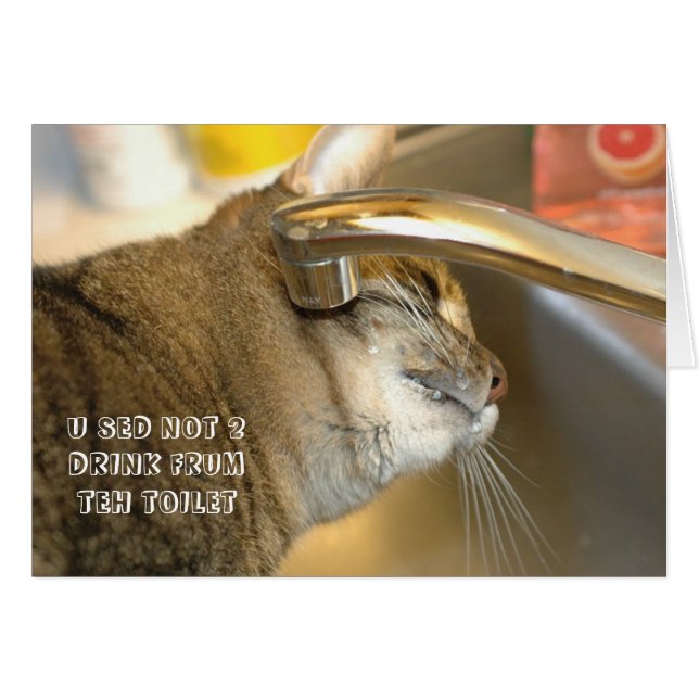 LOL Cat Card (Vorderseite (Horizontal))