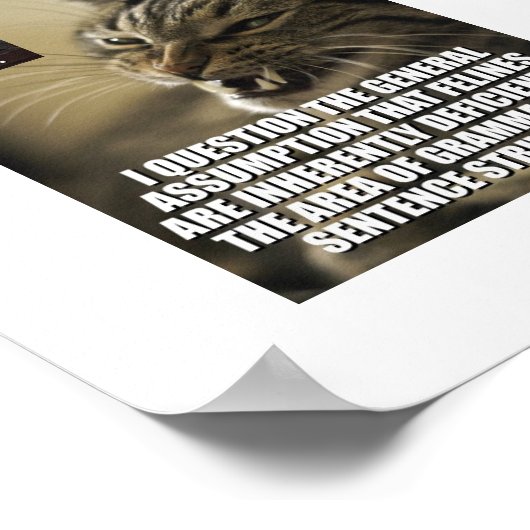 lol-catz-back, boo-did-i-skeerd-u_jpg_th.. poster (Ecke)