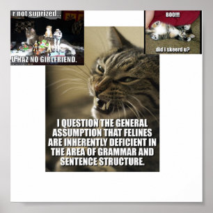 lol-catz-back, boo-did-i-skeerd-u_jpg_th.. poster