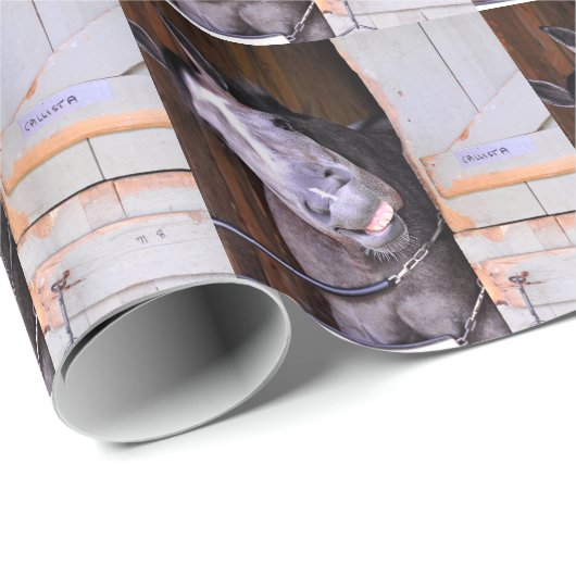 LOL GESCHENKPAPIER (Rolleneckpunkt)