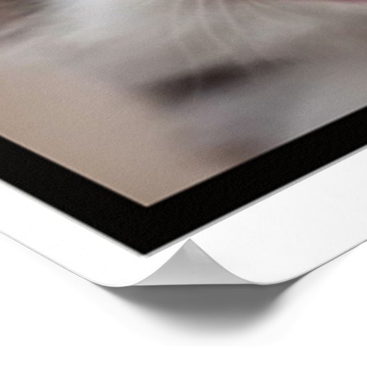 LOL I Farted! Poster (Ecke)