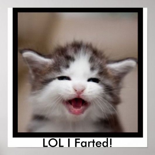 LOL I Farted! Poster (Vorne)
