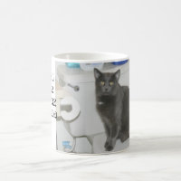 lol Katze