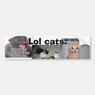 Lol Katzen Autoaufkleber