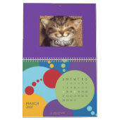 LOL Katzen-Kalender Kalender (Mär 2027)