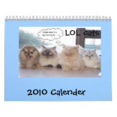 LOL Katzen-Kalender Kalender (Titelbild)