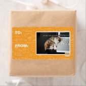 Lol Katzen mit USB (Insitu)