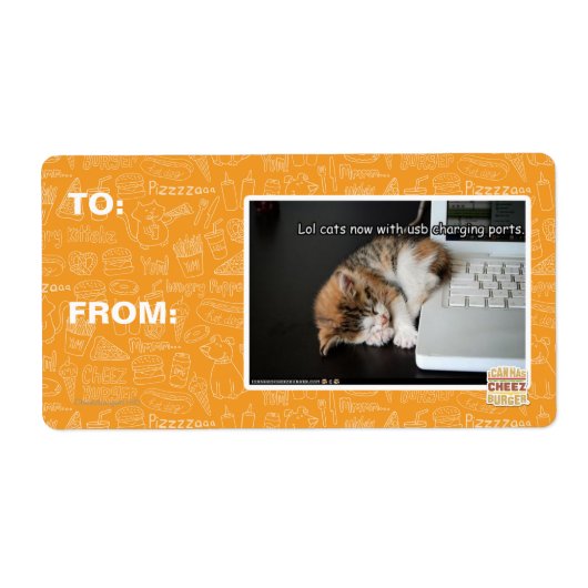 Lol Katzen mit USB (Vorne)