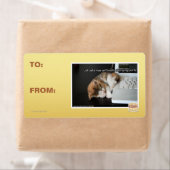 Lol Katzen mit USB (Insitu)