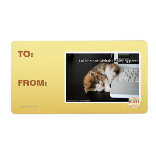Lol Katzen mit USB