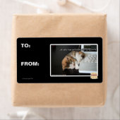 Lol Katzen mit USB (Insitu)