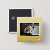 Lol Katzen mit USB Button (Vorne & Hinten)