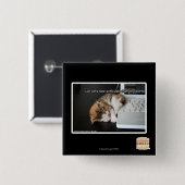 Lol Katzen mit USB Button (Vorne & Hinten)