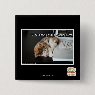 Lol Katzen mit USB Button