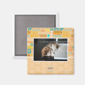 Lol Katzen mit USB Magnet (Vorderseite/Rückseite)