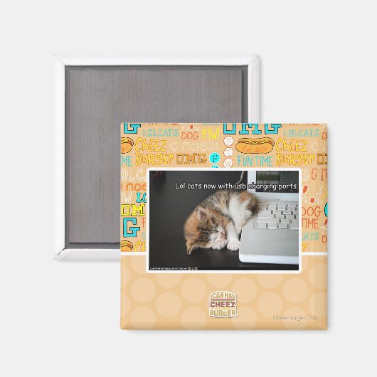 Lol Katzen mit USB Magnet (Vorderseite/Rückseite)