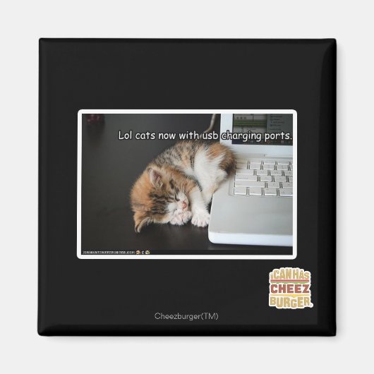 Lol Katzen mit USB Magnet (Vorne)