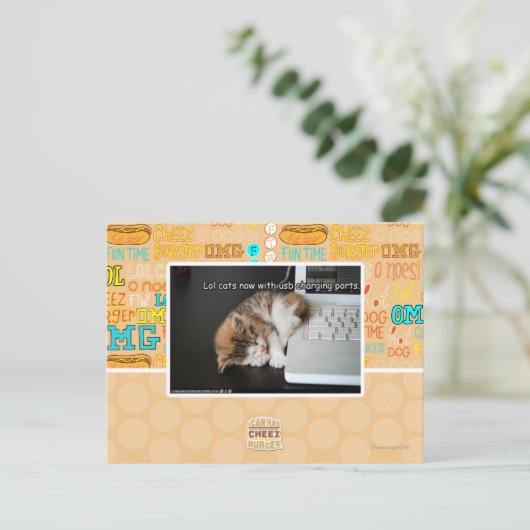 Lol Katzen mit USB Postkarte (Stehend Vorderseite)