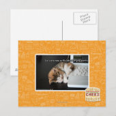 Lol Katzen mit USB Postkarte (Vorne/Hinten)