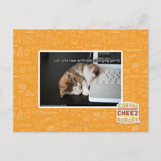 Lol Katzen mit USB Postkarte (Vorderseite)