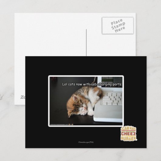 Lol Katzen mit USB Postkarte (Vorne/Hinten)