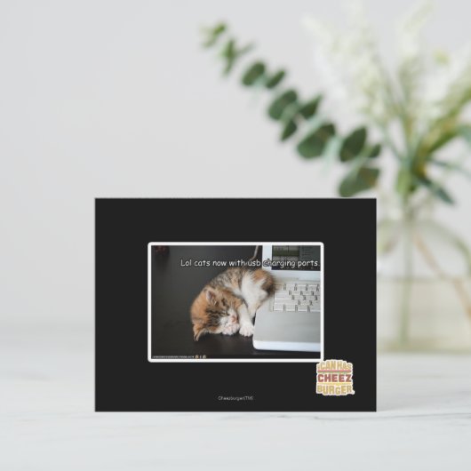 Lol Katzen mit USB Postkarte (Stehend Vorderseite)