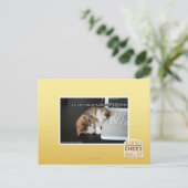 Lol Katzen mit USB Postkarte (Stehend Vorderseite)