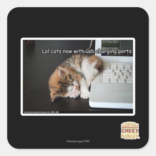 Lol Katzen mit USB Quadratischer Aufkleber (Vorderseite)