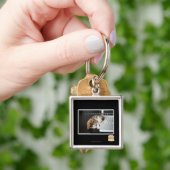 Lol Katzen mit USB Schlüsselanhänger (Hand)