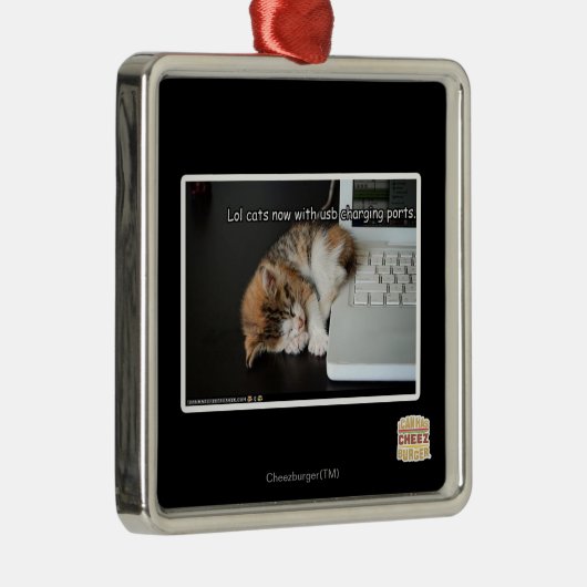 Lol Katzen mit USB Silbernes Ornament (Rechts)