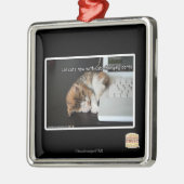 Lol Katzen mit USB Silbernes Ornament (Links)