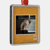 Lol Katzen mit USB Silbernes Ornament (Rechts)