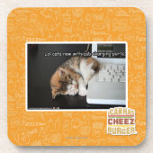 Lol Katzen mit USB Untersetzer (Vorderseite)